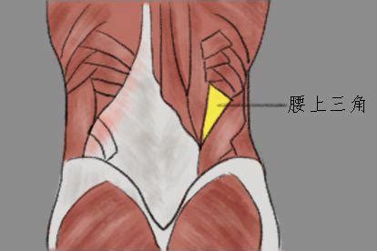 腰三角 構成|ベルマジャンディの法則